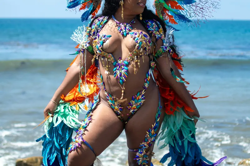 Le carnaval passe devant le chemin